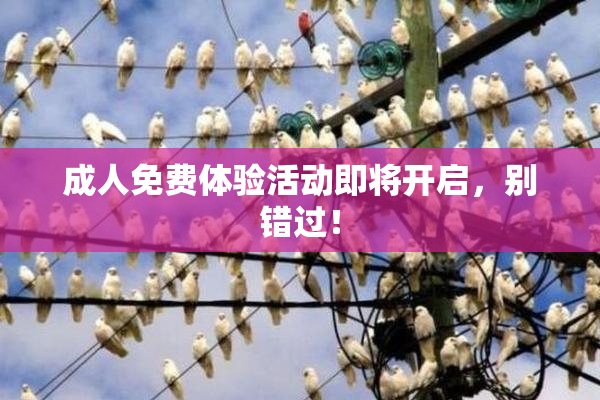成人免费体验活动即将开启，别错过！