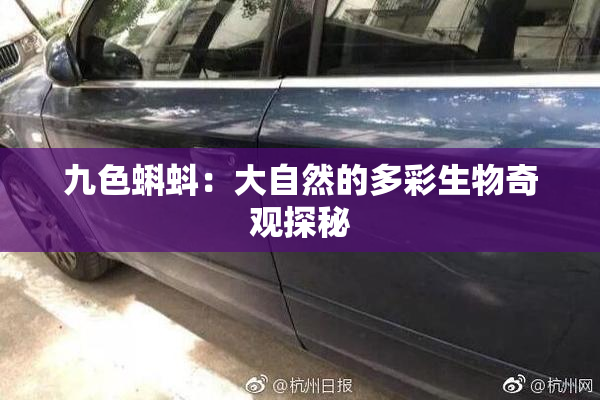 九色蝌蚪：大自然的多彩生物奇观探秘