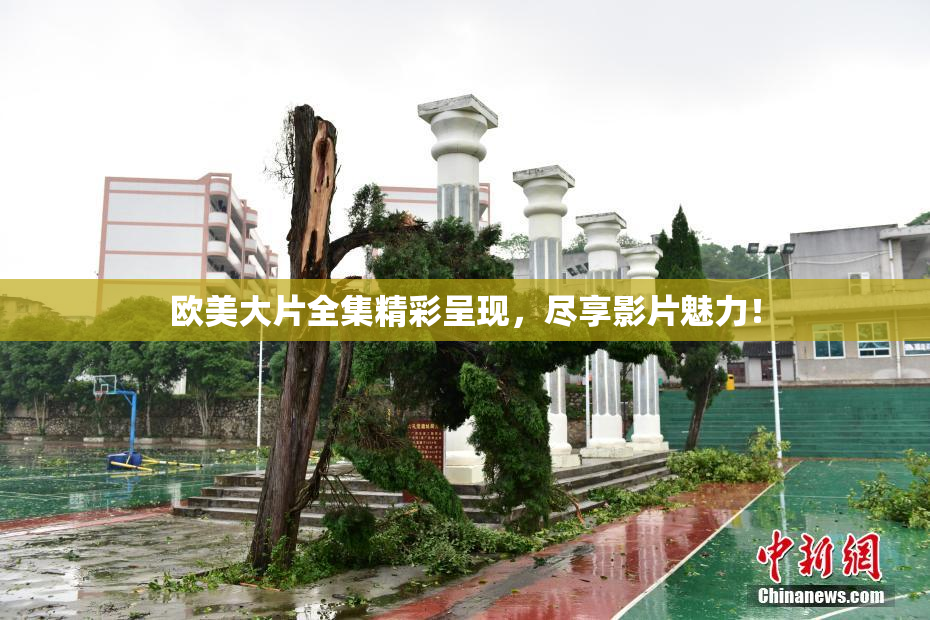 欧美大片全集精彩呈现，尽享影片魅力！