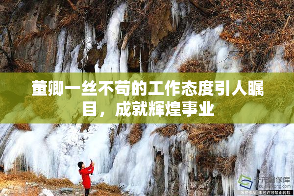 董卿一丝不苟的工作态度引人瞩目，成就辉煌事业