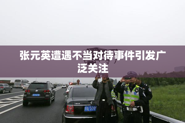 张元英遭遇不当对待事件引发广泛关注