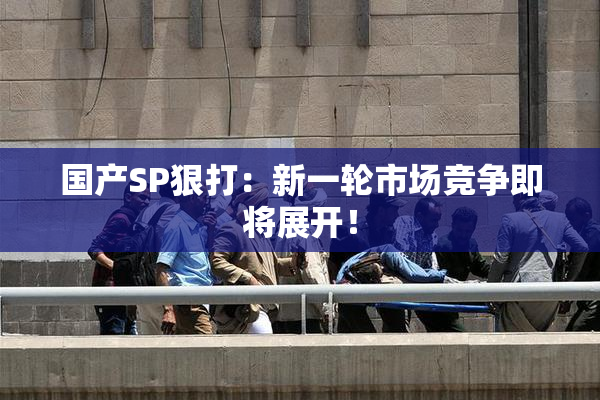 国产SP狠打：新一轮市场竞争即将展开！