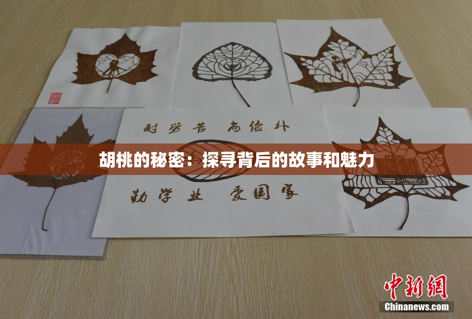 胡桃的秘密：探寻背后的故事和魅力
