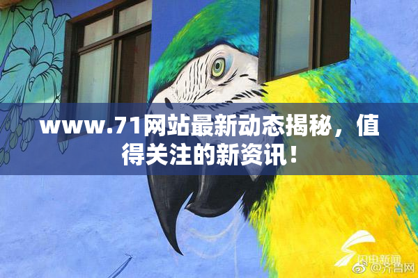 www.71网站最新动态揭秘，值得关注的新资讯！