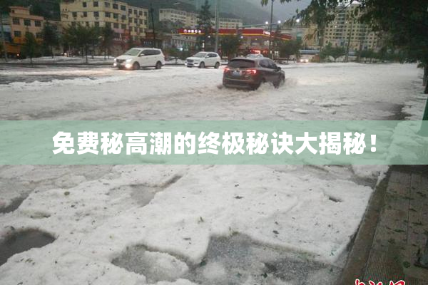 免费秘高潮的终极秘诀大揭秘！