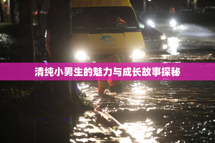 清纯小男生的魅力与成长故事探秘