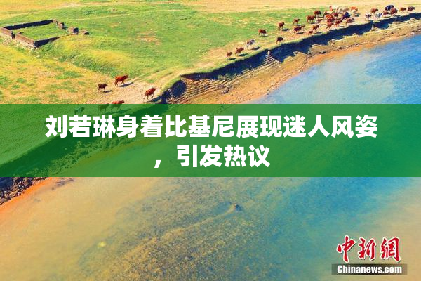 刘若琳身着比基尼展现迷人风姿，引发热议