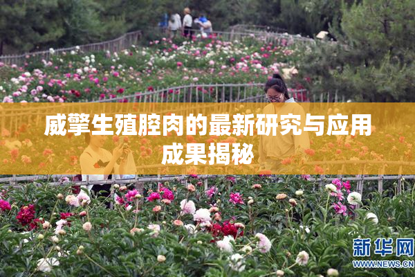 威擎生殖腔肉的最新研究与应用成果揭秘