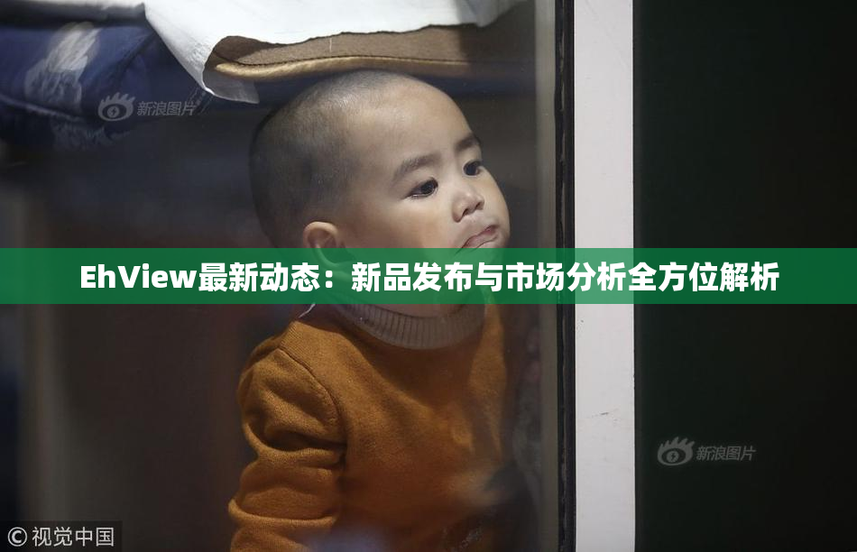 EhView最新动态：新品发布与市场分析全方位解析