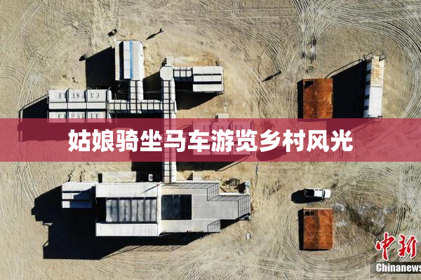 姑娘骑坐马车游览乡村风光