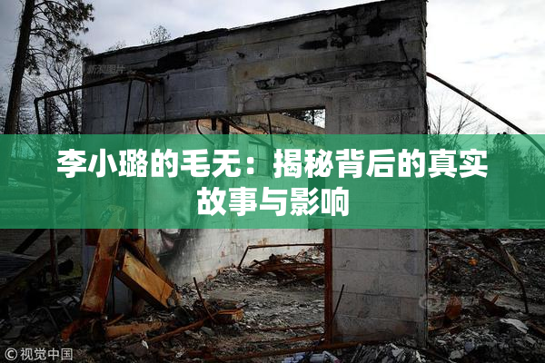 李小璐的毛无：揭秘背后的真实故事与影响