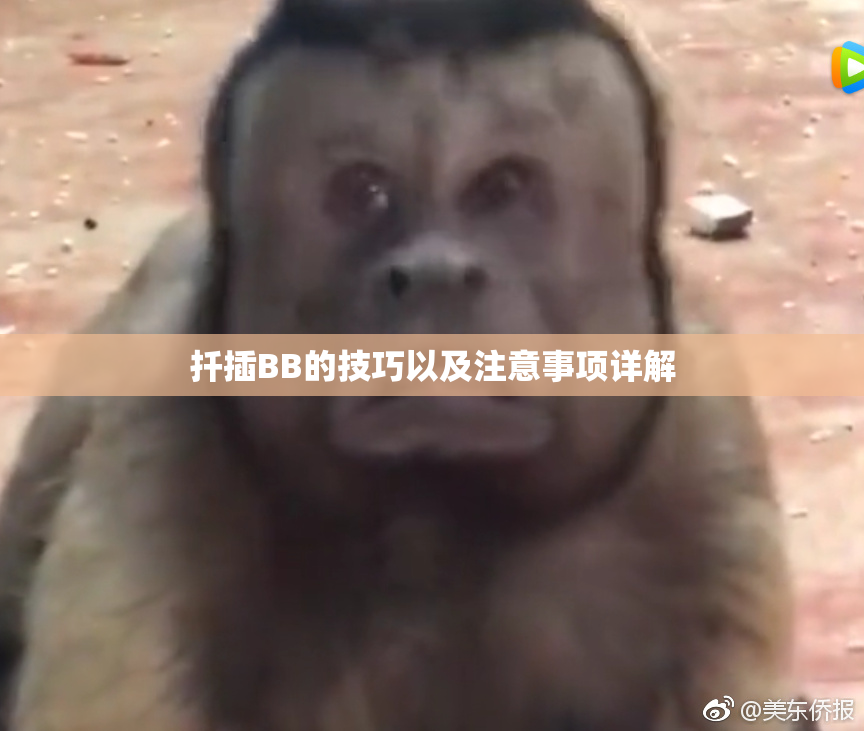 扦插BB的技巧以及注意事项详解