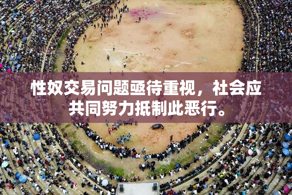 性奴交易问题亟待重视，社会应共同努力抵制此恶行。