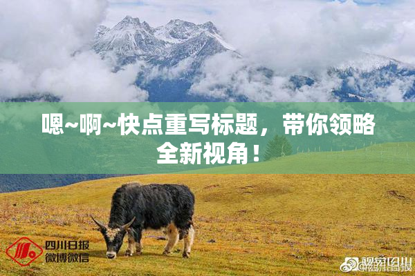 嗯~啊~快点重写标题，带你领略全新视角！