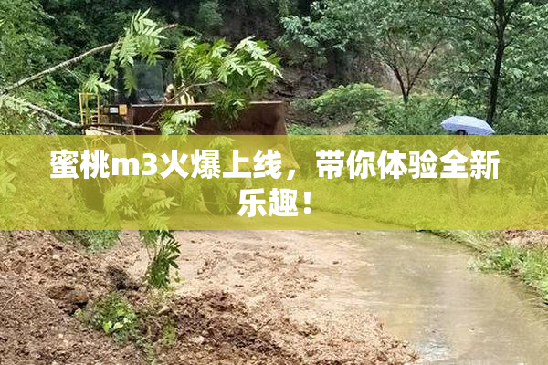 蜜桃m3火爆上线，带你体验全新乐趣！
