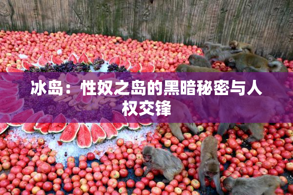冰岛：性奴之岛的黑暗秘密与人权交锋