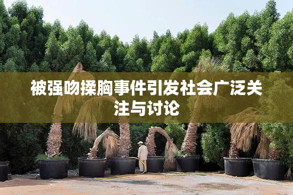 被强吻揉胸事件引发社会广泛关注与讨论