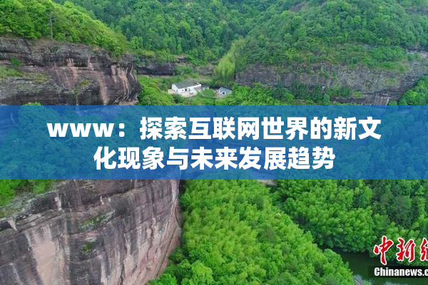 www：探索互联网世界的新文化现象与未来发展趋势