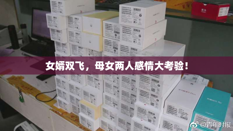 女婿双飞，母女两人感情大考验！