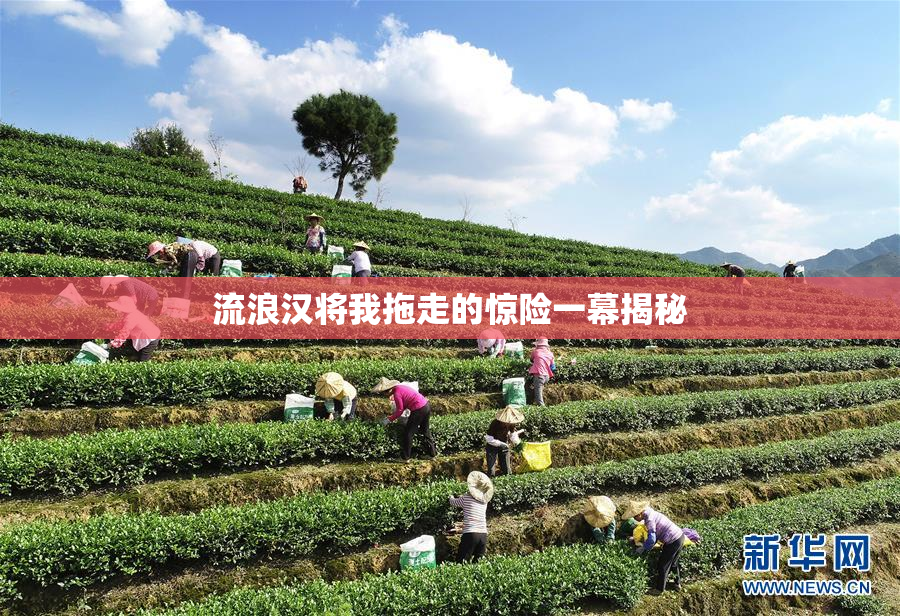 流浪汉将我拖走的惊险一幕揭秘