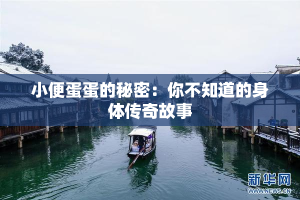 小便蛋蛋的秘密：你不知道的身体传奇故事
