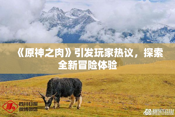 《原神之肉》引发玩家热议，探索全新冒险体验