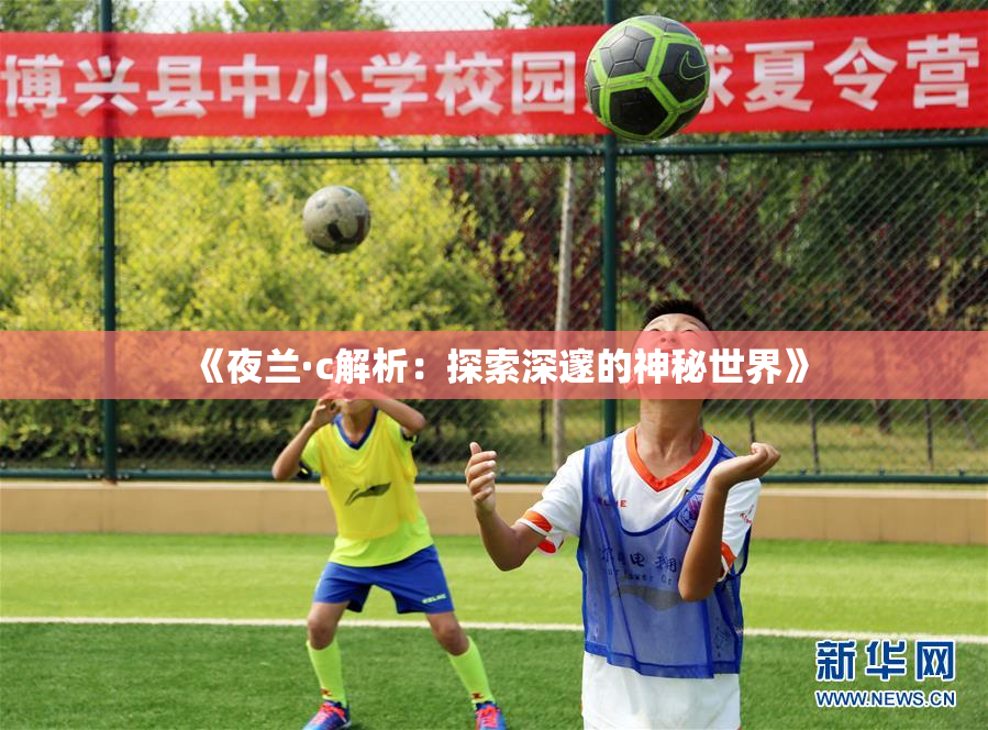 《夜兰·c解析：探索深邃的神秘世界》