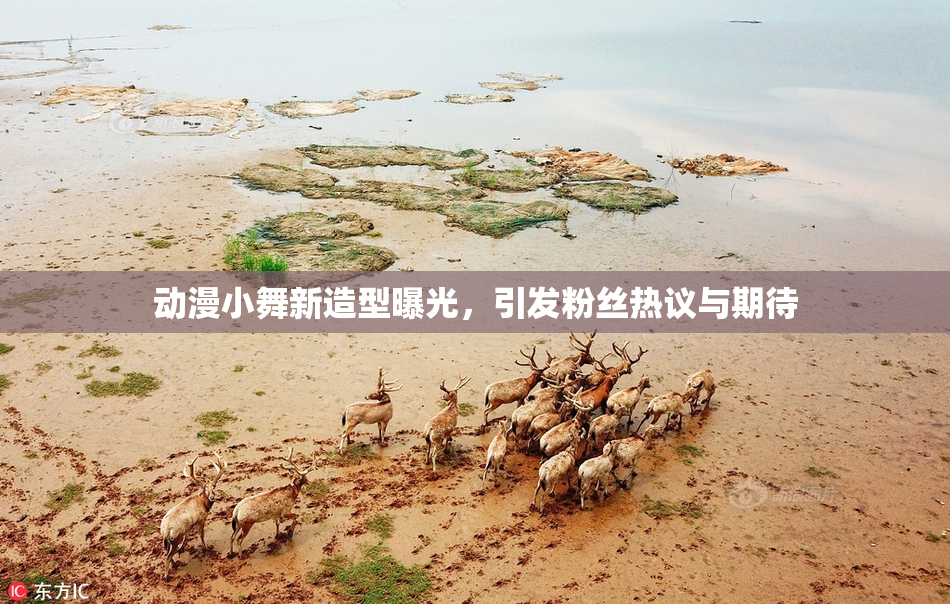 动漫小舞新造型曝光，引发粉丝热议与期待