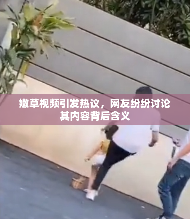 嫩草视频引发热议，网友纷纷讨论其内容背后含义