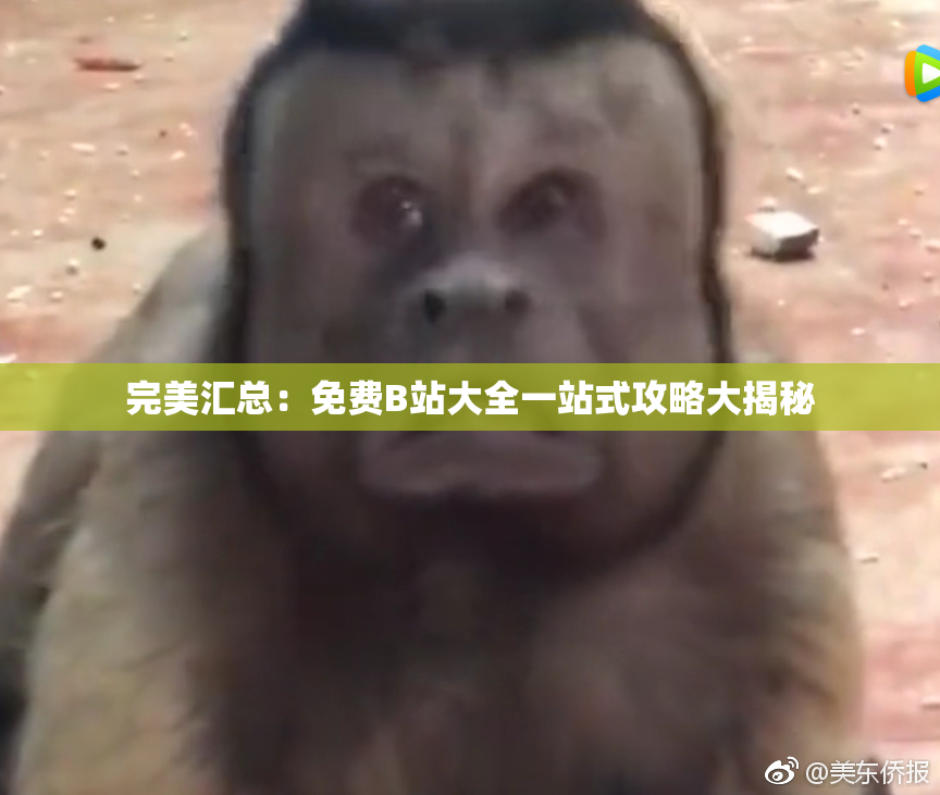 完美汇总：免费B站大全一站式攻略大揭秘