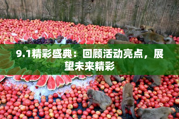 9.1精彩盛典：回顾活动亮点，展望未来精彩