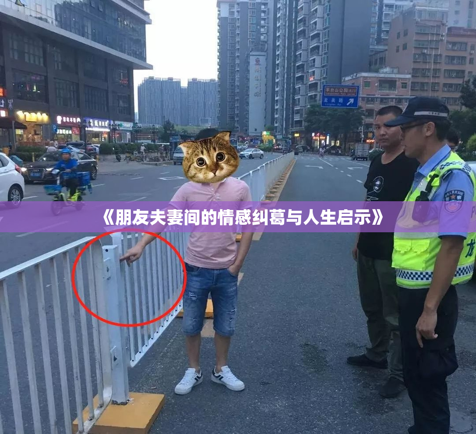 《朋友夫妻间的情感纠葛与人生启示》