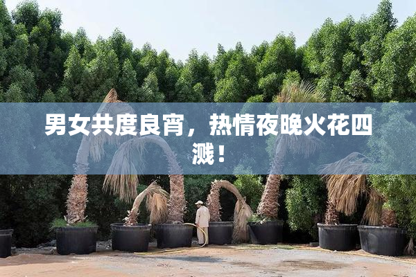 男女共度良宵，热情夜晚火花四溅！