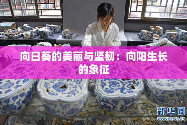 向日葵的美丽与坚韧：向阳生长的象征