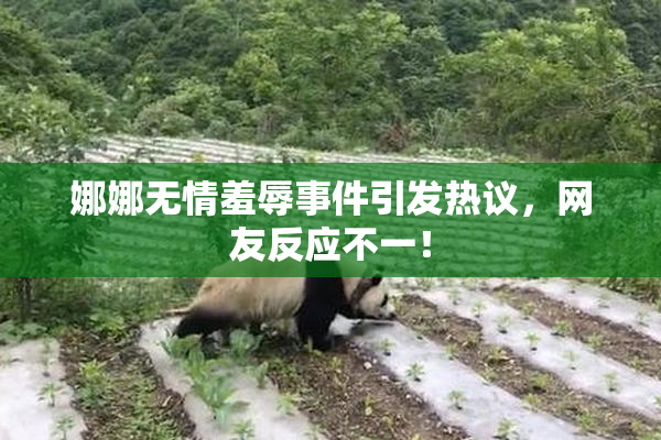 娜娜无情羞辱事件引发热议，网友反应不一！