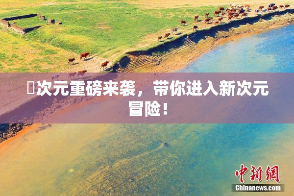 囧次元重磅来袭，带你进入新次元冒险！