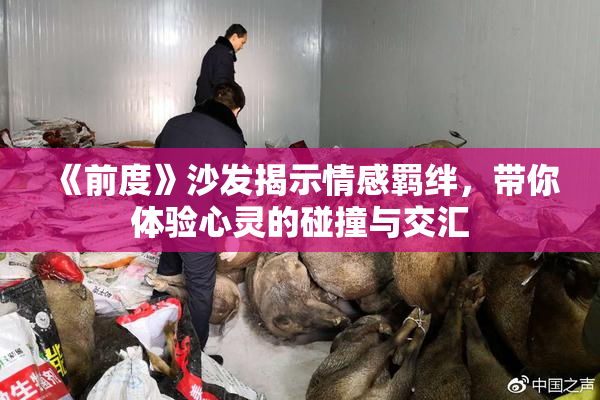 《前度》沙发揭示情感羁绊，带你体验心灵的碰撞与交汇