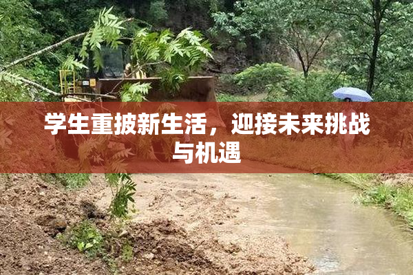 学生重披新生活，迎接未来挑战与机遇
