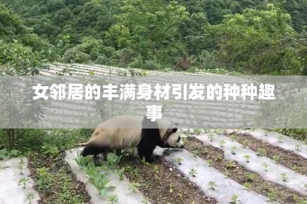 女邻居的丰满身材引发的种种趣事