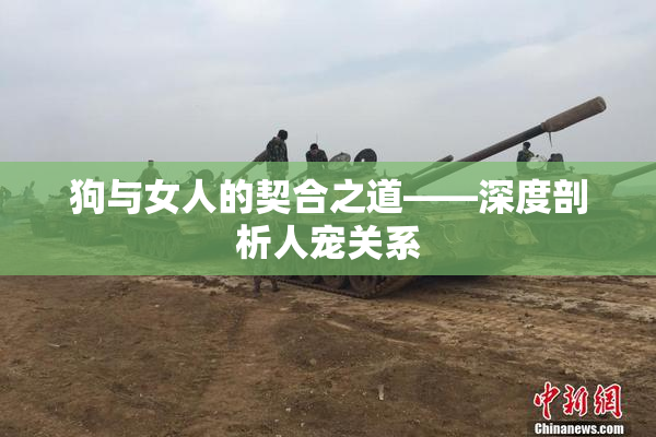 狗与女人的契合之道——深度剖析人宠关系