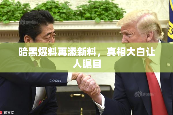 暗黑爆料再添新料，真相大白让人瞩目