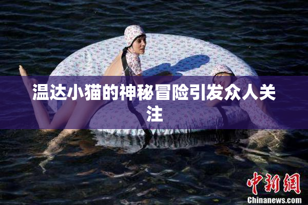 温达小猫的神秘冒险引发众人关注