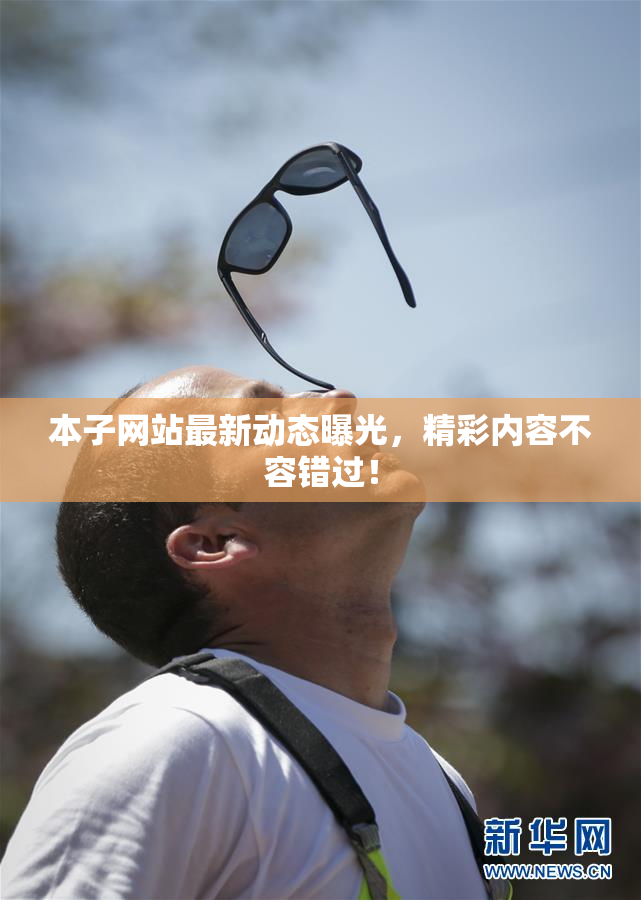 本子网站最新动态曝光，精彩内容不容错过！