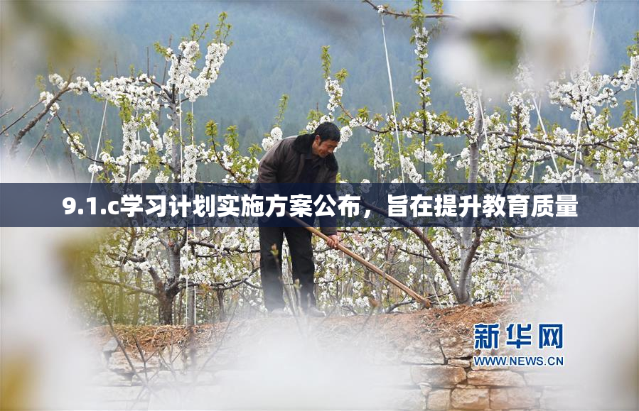 9.1.c学习计划实施方案公布，旨在提升教育质量