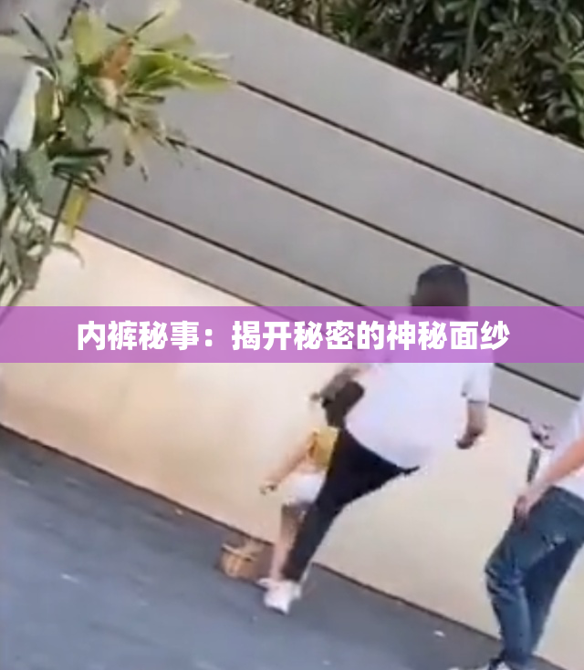 内裤秘事：揭开秘密的神秘面纱