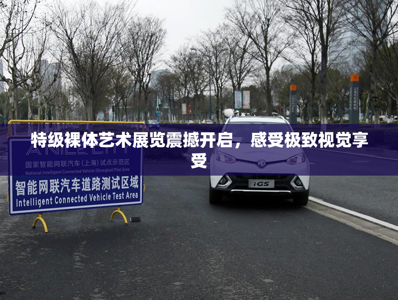 特级裸体艺术展览震撼开启，感受极致视觉享受