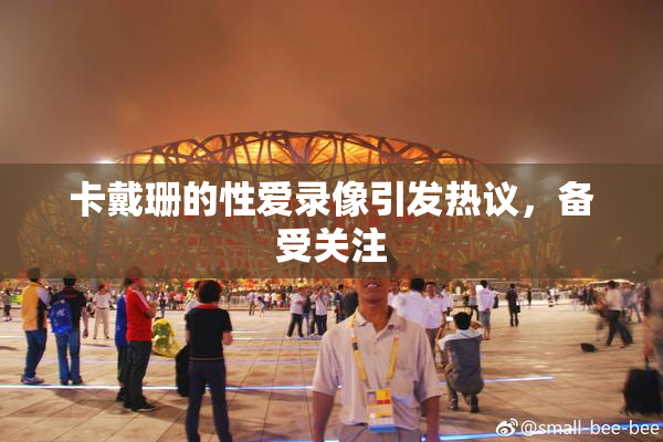 卡戴珊的性爱录像引发热议，备受关注