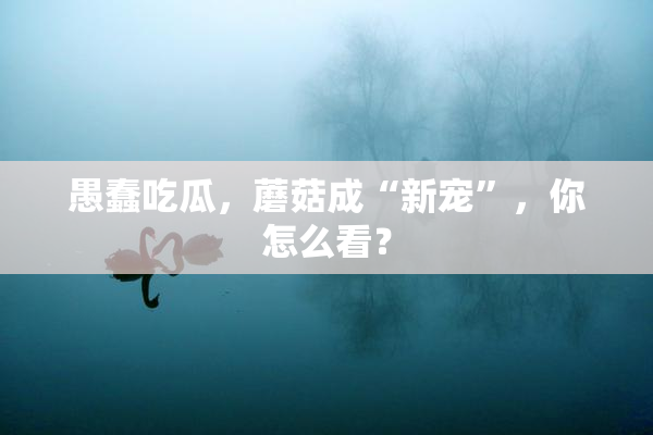 愚蠢吃瓜，蘑菇成“新宠”，你怎么看？
