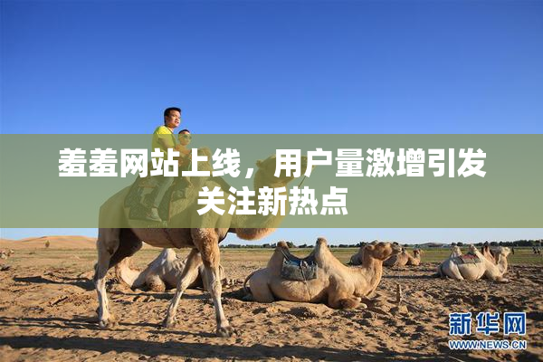 羞羞网站上线，用户量激增引发关注新热点