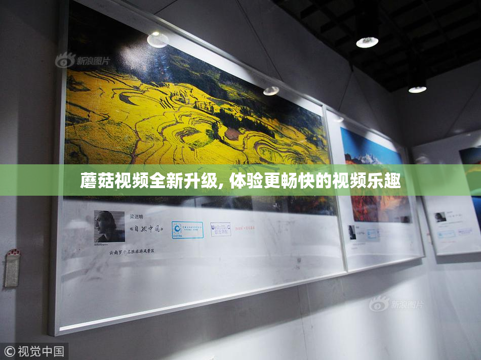 蘑菇视频全新升级, 体验更畅快的视频乐趣